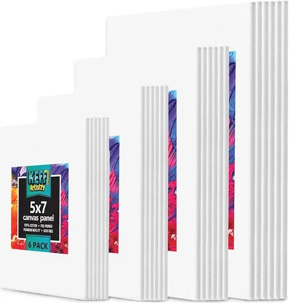 KEFF 24 Pack Canvases for Painting