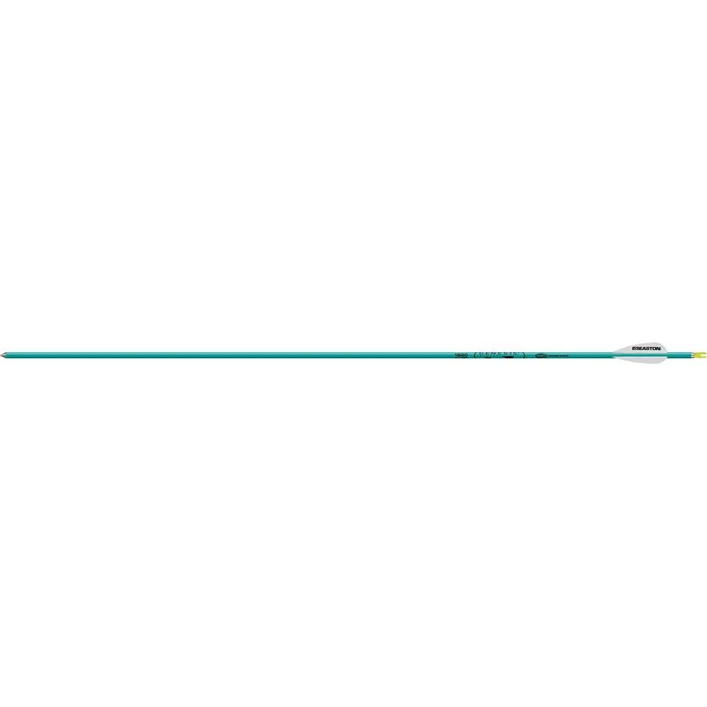 Easton Genesis Arrows Teal 1820 6 pk.