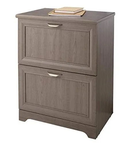 Realspace Magellan 2-Drawer Lateral File Cabinet