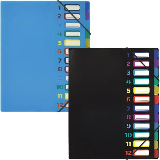 File Folders with 24 Clear Pockets, Expandable, 12 Color Registers8320