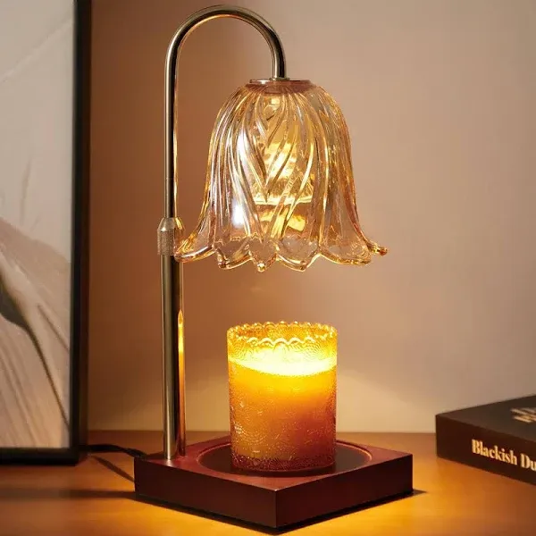 GODONLIF Candle Warmer Lamp