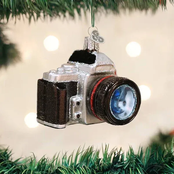 Old World Christmas Camera Glass Ornament