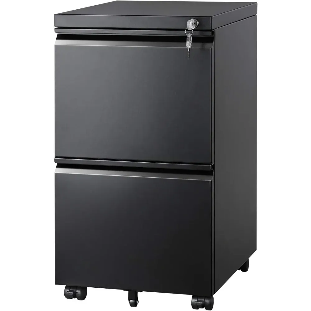 DEVAISE Metal 2 Drawer Mobile File Cabinet with Lock