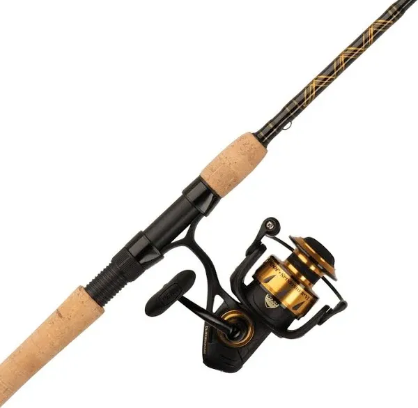 Penn Spinfisher VI Spinning Combo