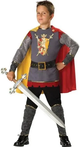 In Character Costume Loyal Knight Boys Halloween Costume Boys Medium 8 New