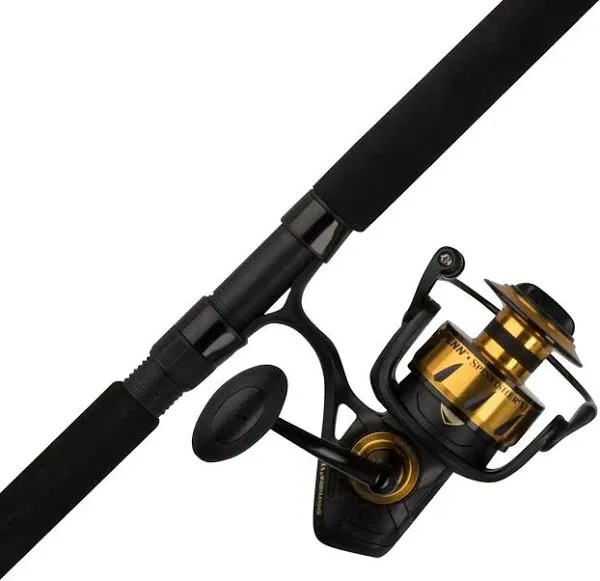 Penn Spin Fisher VI Spinning Combo