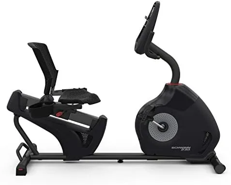 Schwinn 230 Recumbent Bike