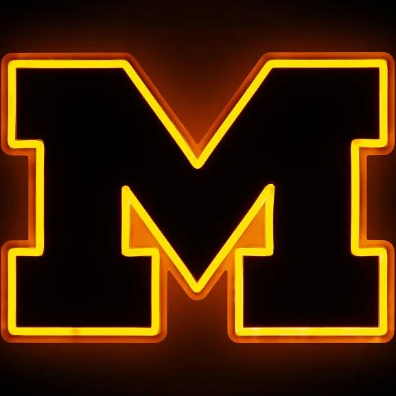 FOCO Michigan Wolverines NCAA Team Logo LED Neon Light Up Sign