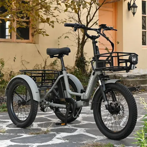 TK1 Folding Electric Tricycle