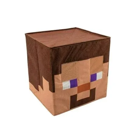 Minecraft Steve Block Head