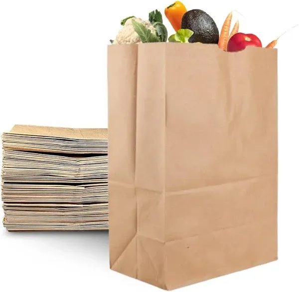 PrimeSaver Large Paper Grocery Bags