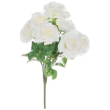 Cream Rose Bush by Ashland®