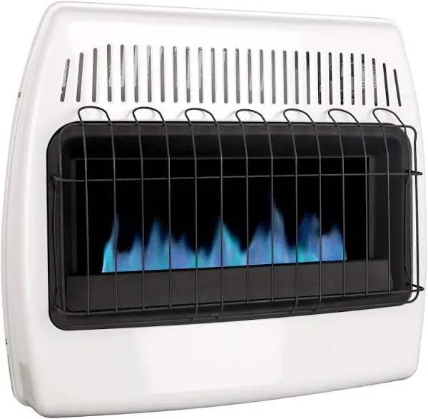 Dyna-Glo 30K BTU Dual Fuel Vent Free Heater