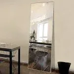 NeuType Full Length Mirror Standing Hanging or Leaning Against Wall, Large, Rectangle, Bedroom Wall-Mounted / Floor Dressing Mirror, Aluminum Alloy Thin Frame, Black, 65"x22"