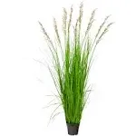 5.5&rsquo; Plum Grass Artificial Plant