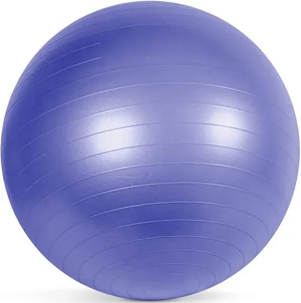 Cap Fitness Exercise Ball 65cm Silver with Foot Pump Brand New Unopened Bag