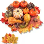 DomeStar 50 Pcs Thanksgiving Artificial Pumpkins and Gourds Set