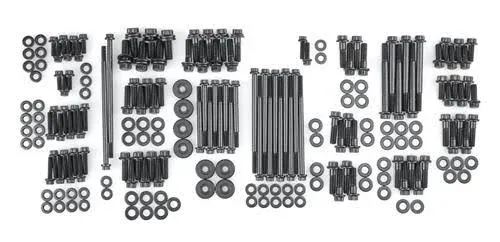 ARP 534-9705 Engine/Accesso<wbr/>ry Fastener Kit LS Engine, Black 12-pt