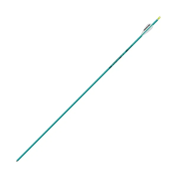 Easton Genesis Arrows Teal 1820 6 pk.