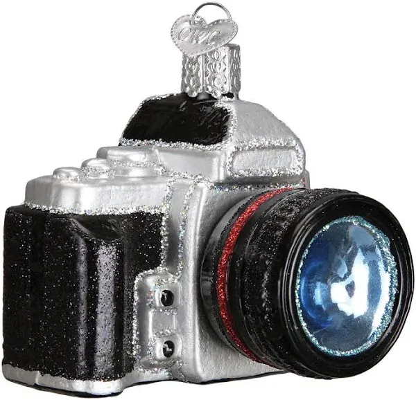 Old World Christmas Ornaments: Hobbies Gifts Glass Blown Ornaments for Christmas Tree, Camera, 32227