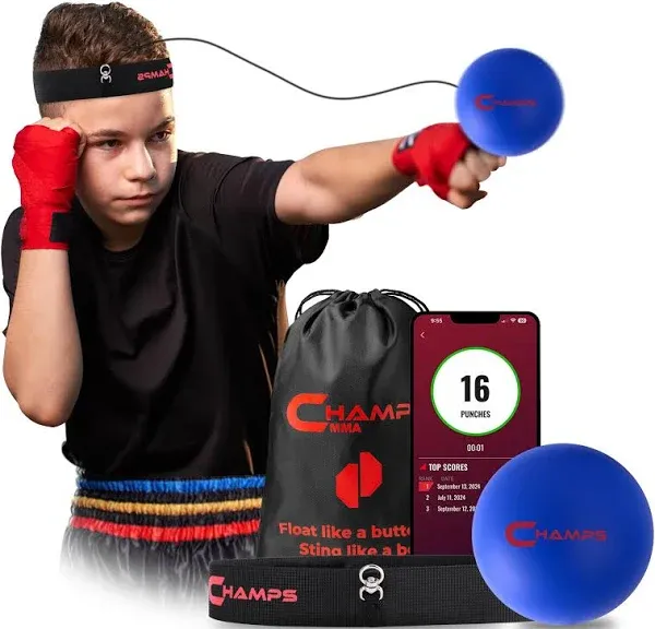 Champs MMA Boxing Reflex Ball