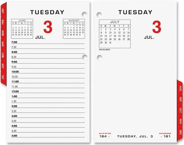 At-A-Glance E01750 3 1/2" x 6" Two Color 2025 Desk Calendar Refill