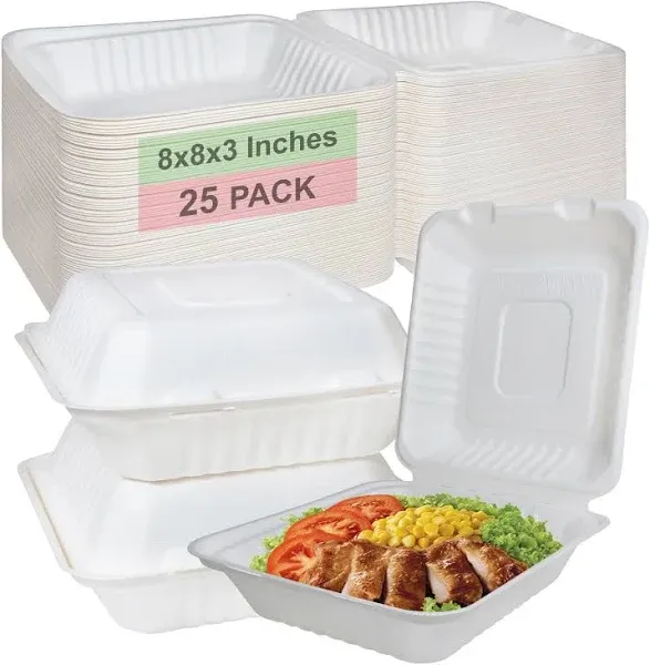 Compostable Square Hinged Clamshell Take Out Food Container