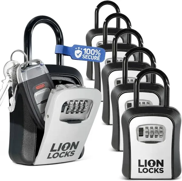 Lion Locks Lock Box for Keys