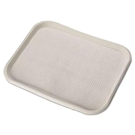 Chinet 20804CT Savaday Molded Fiber Food Trays 14 x 18 White Rectangular 100/Carton