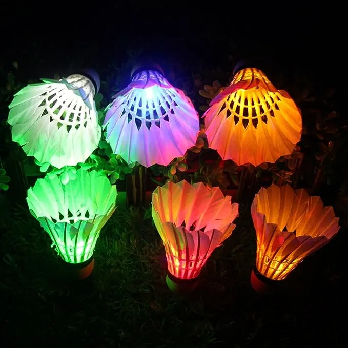 LED Shuttlecock Badminton, 6 Pack 6 Color Shuttlecock Dark Night Goose 