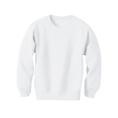 Hanes Boys EcoSmart Fleece Crew Neck Sweatshirt, Sizes XS-XL