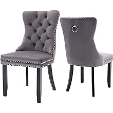 Dreda Tufted Velvet Upholstered Wingback (Set of 2) Rosdorf Park Upholstery Color ...