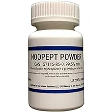 Noopept Powder, 10 Grams