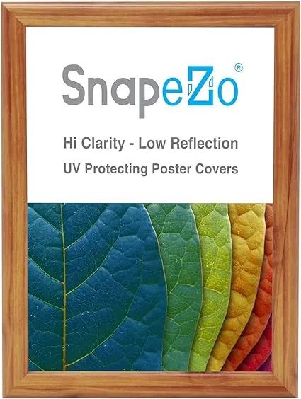 SnapeZo Gold Effect 27x40 Poster Frame, Front-Loading, Wall Mount, Aluminum 1.25" Profile, Professional Series