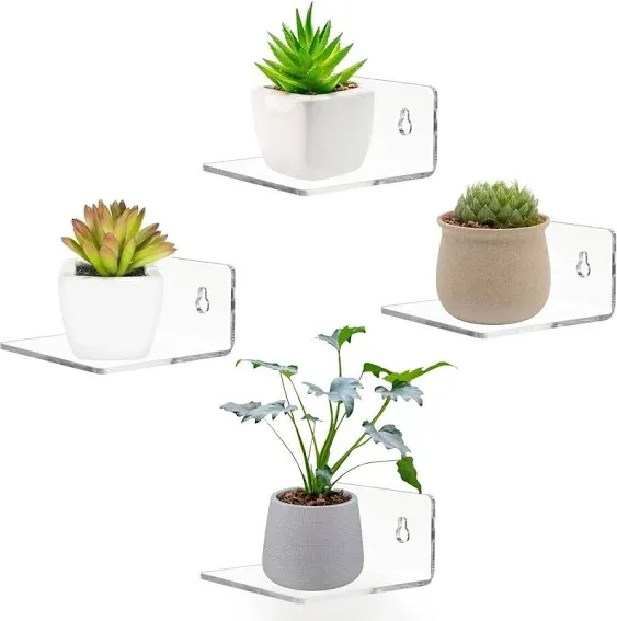 Acrylic Small Adhesive Wall Shelves Mini Floating Display Figures Plant Picture