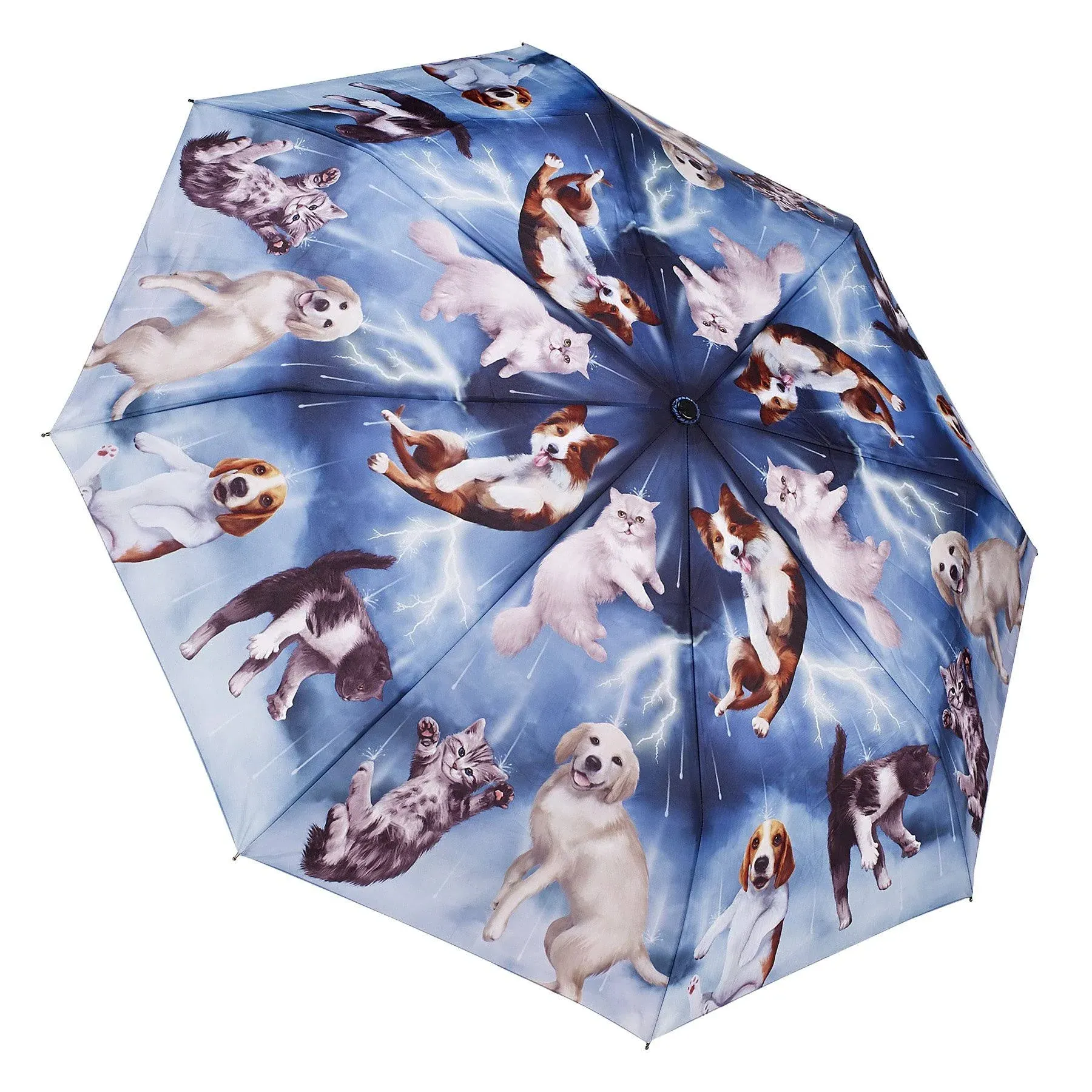 Galleria's Folding Umbrella Prints