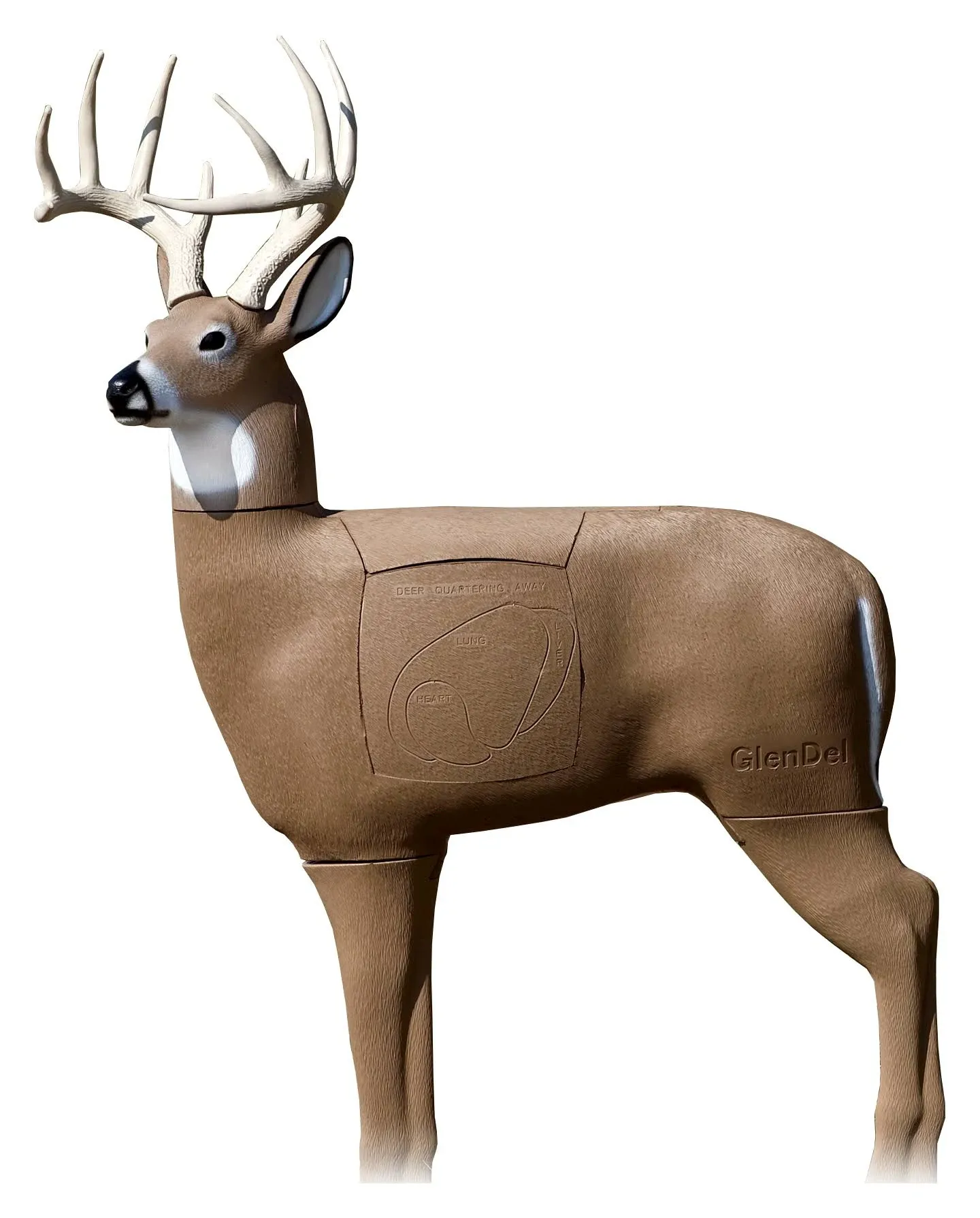 Glendel Pre Rut Buck 3D Target