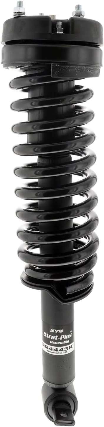 Strut and Coil Spring Assembly