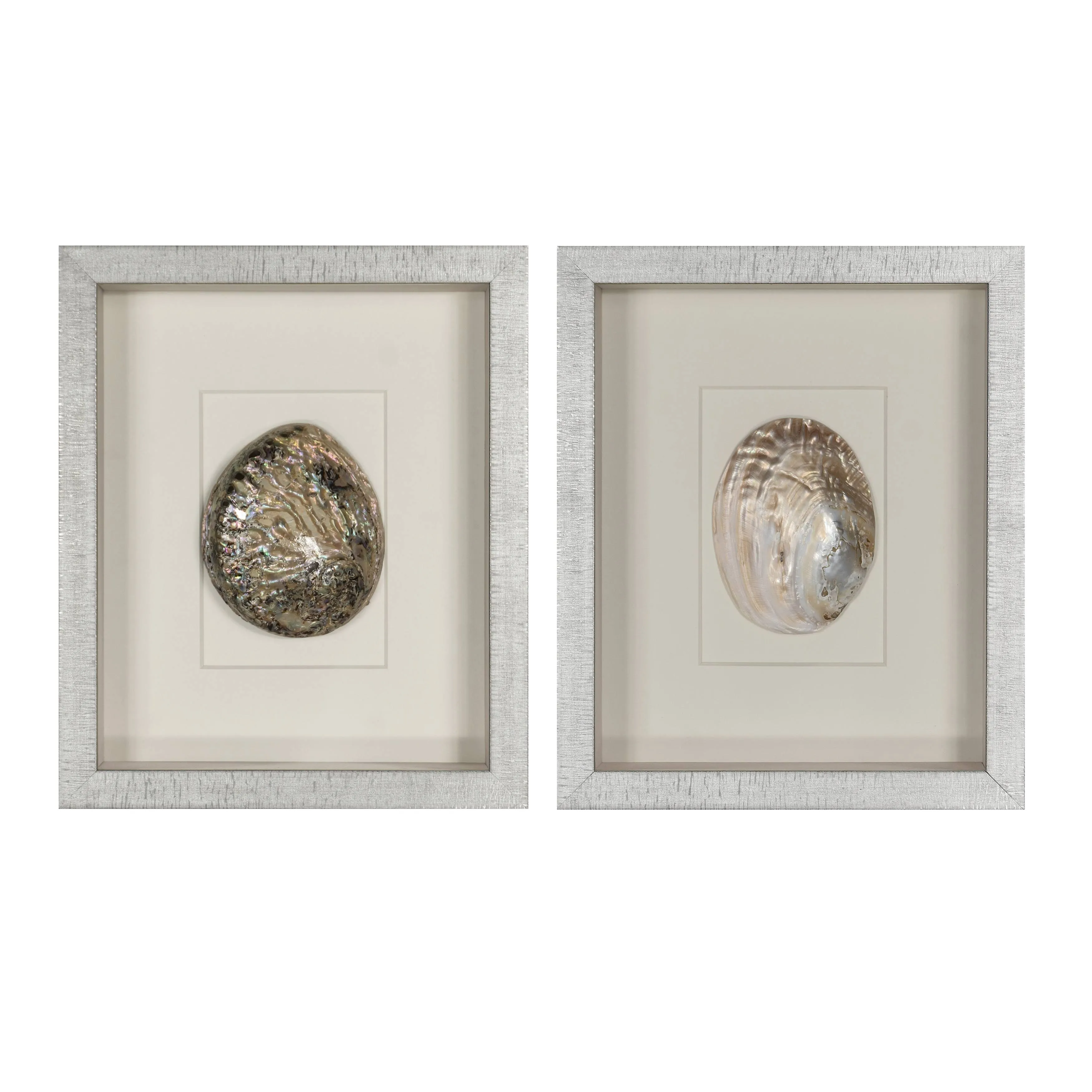 Abalone & Pearl Shell Shadow Box Wall Décor (2 Piece Set) (MS18023C/D)