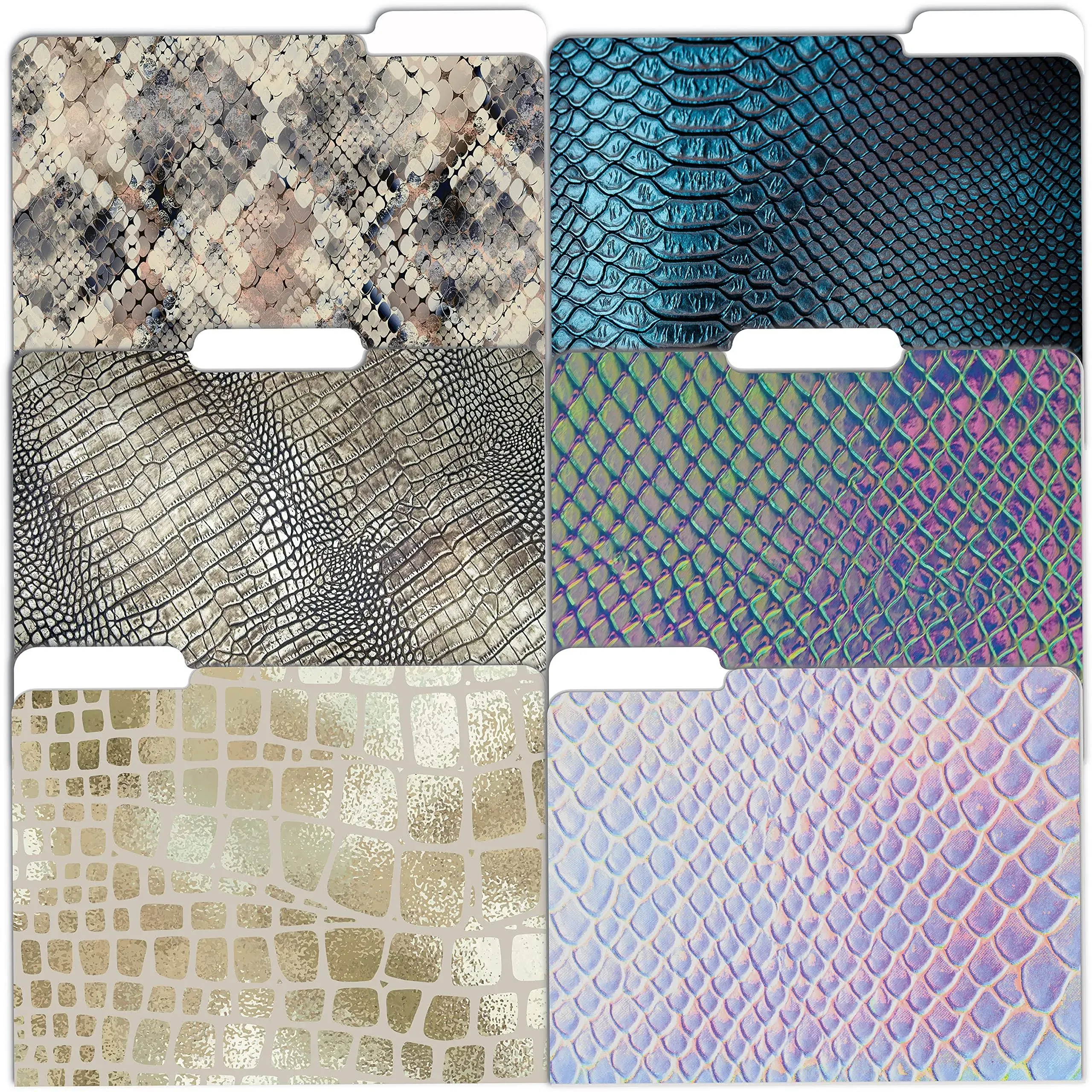 Better Office Products Decorative File Folders, 24 Pack, 8 Designs, Heavyweight, Letter Size (9.5" x 11.5") with 1/3 Cut Tab, Snakeskin Designs, Fashion Folders