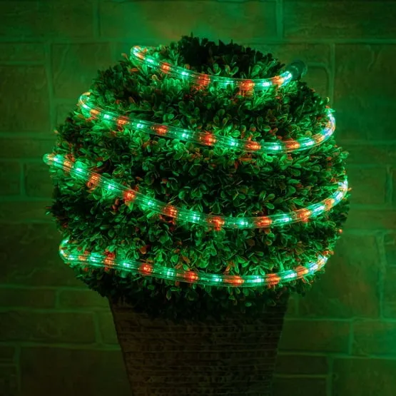 Wintergreen Lighting 18' LED Rope Light