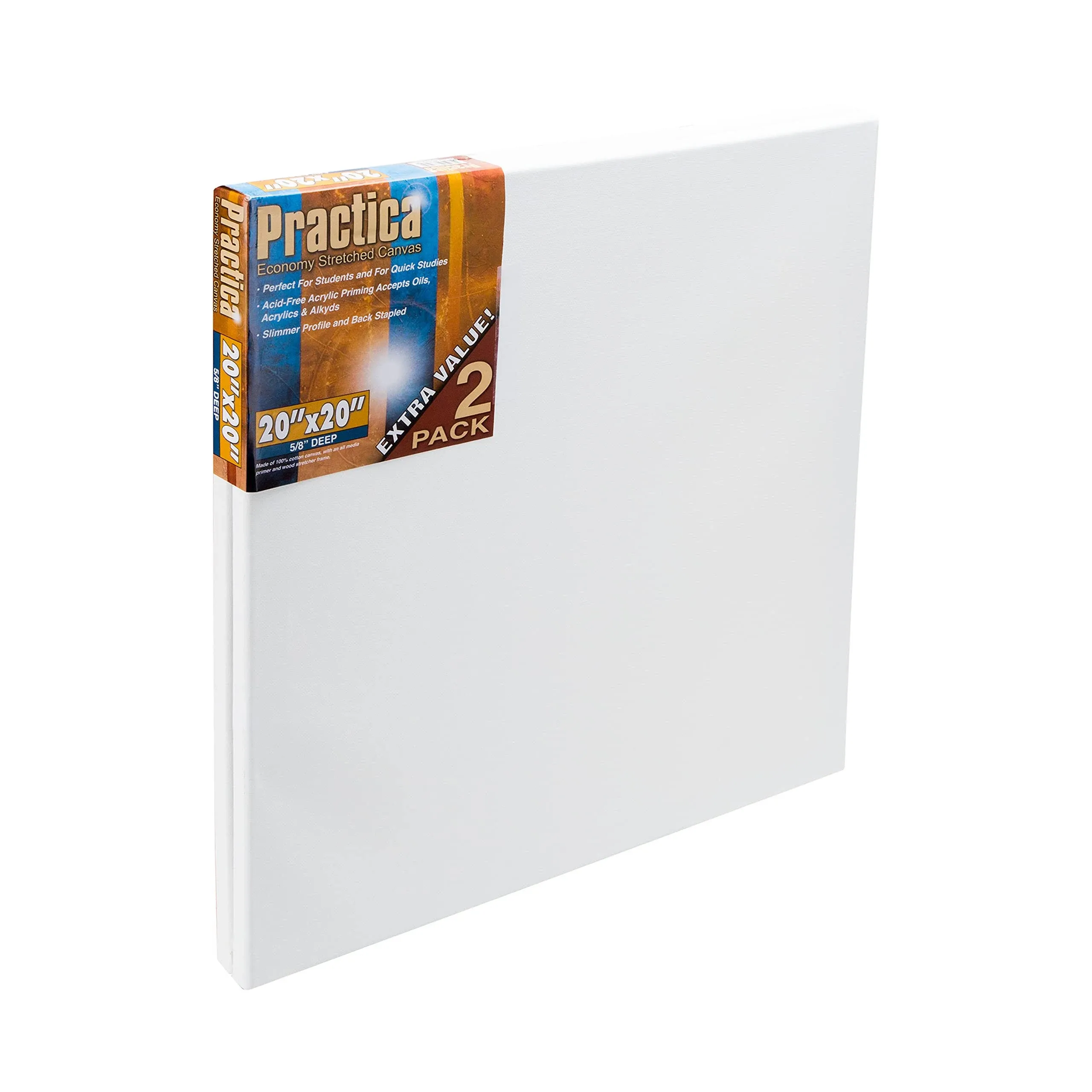 Practica Stretched Cotton Canvas 20"x20" (Pack of 2)