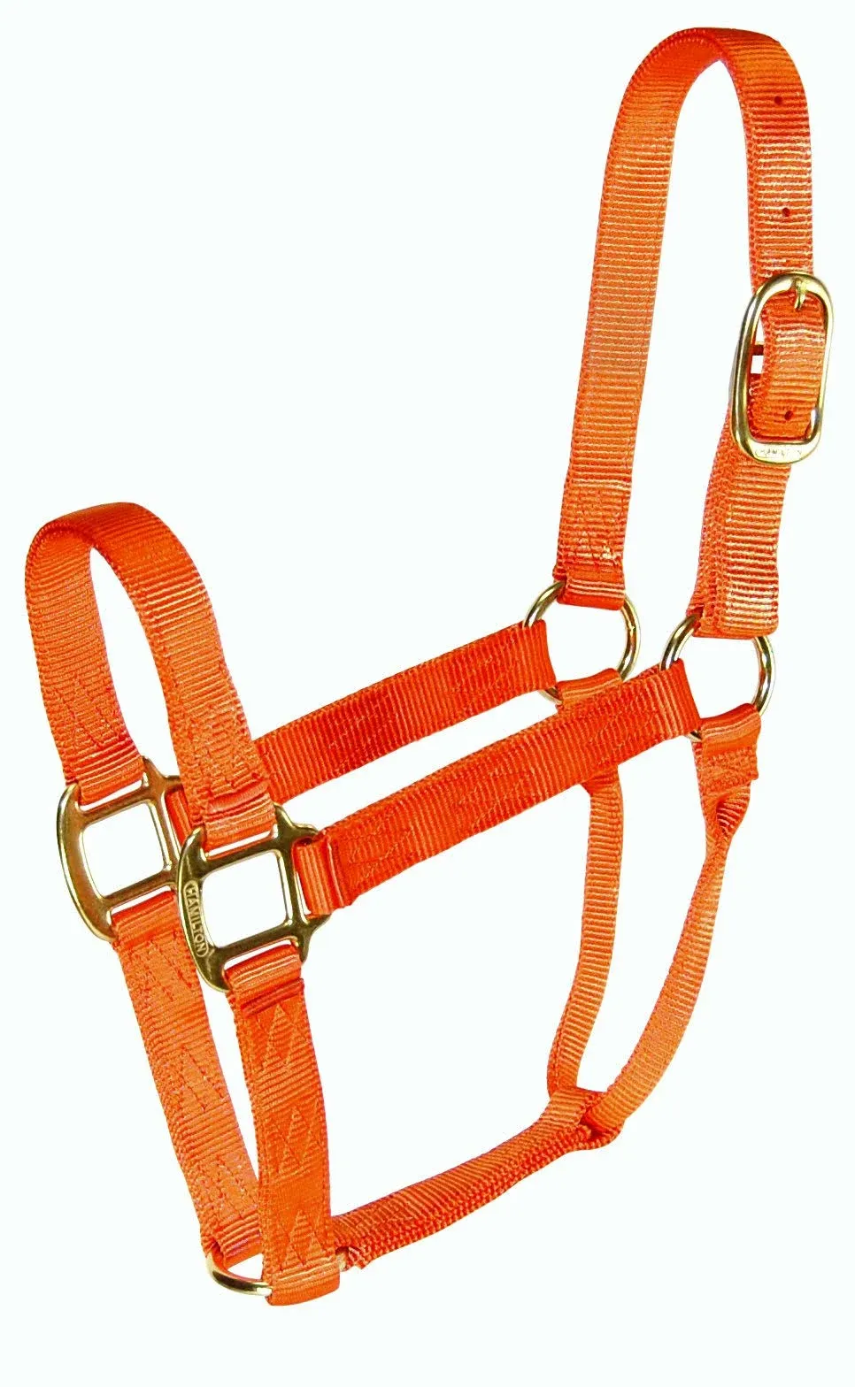 Hamilton Products Quality Nylon Halter -  blaze orange - average