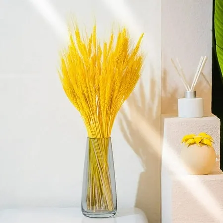 Dried Wheat Stalks 50 Stems Wheat Sheaves for Decorating Wedding Table Home Kitchen (15.7 inches Yellow)