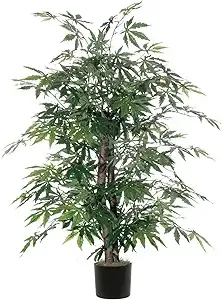 Vickerman 4' Japanese Maple Bush