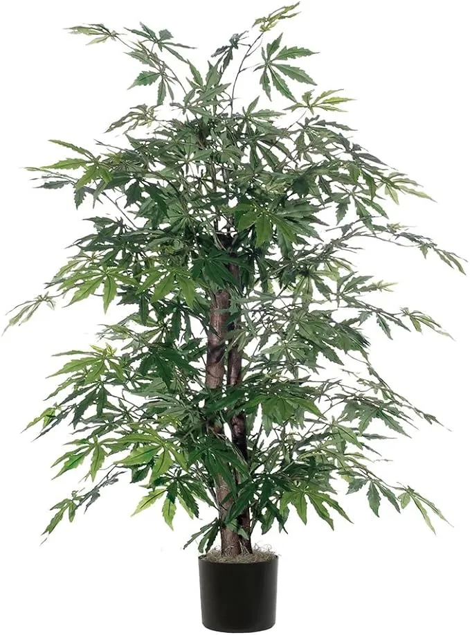 Vickerman TBU1840-06 Japanese Maple Bush, Green, 4'