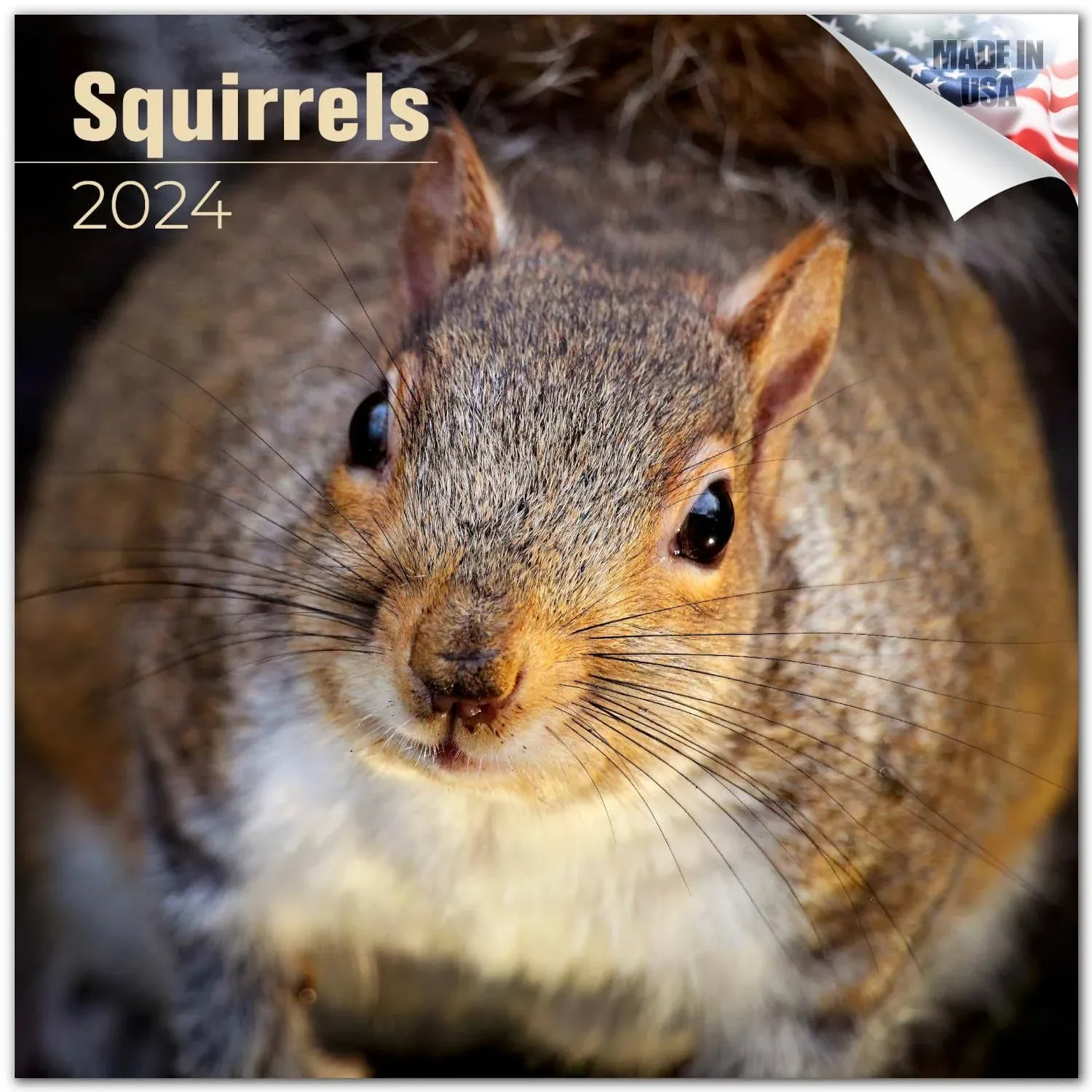 2024 2025 Squirrels Calendar - Cute Wildlife Monthly Wall Calendar - 12 x 24 Open - Thick No-Bleed Paper - Giftable - Academic Teacher's Planner Calendar Organizing & Planning - Made in USA