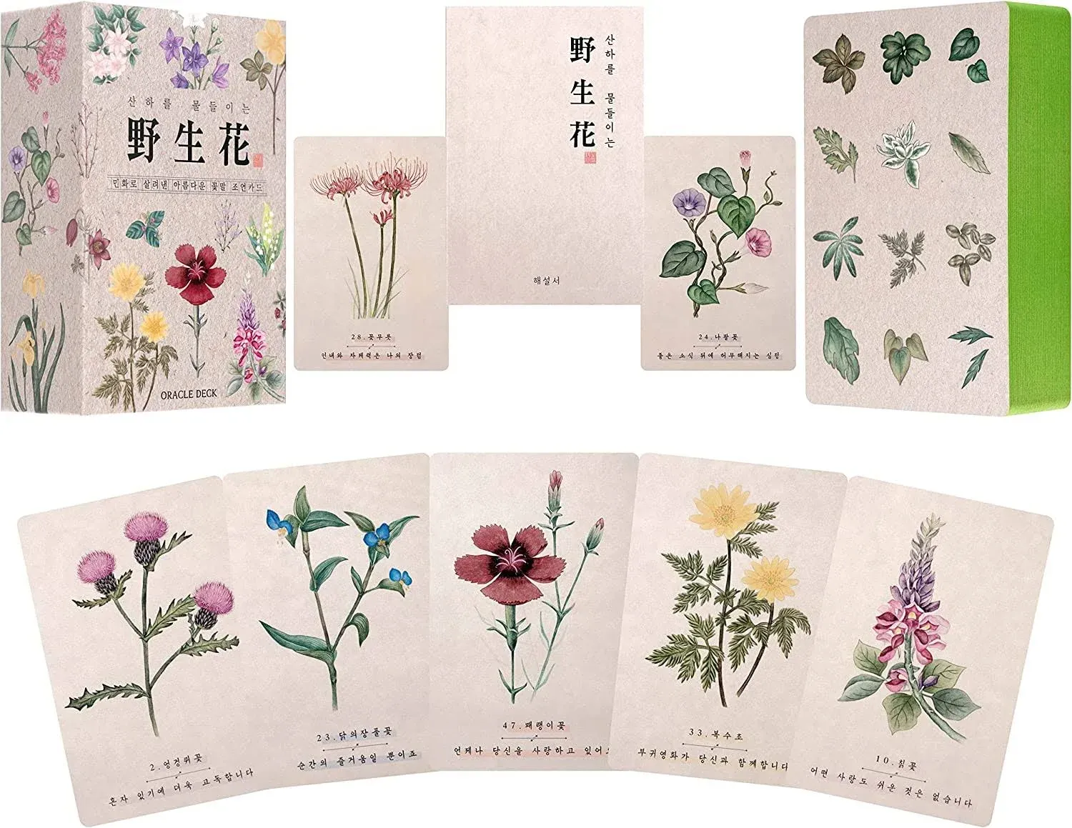 Prime Muse Korean Wildflower Advice Oracle Tarot Cards - Illustrations Were Not ...