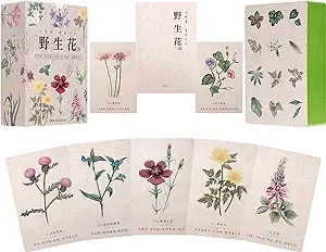 Korean Oracle Tarot Wildflower Tips, from traditional Korean folk painting Minhwa in Hanji, Korean version