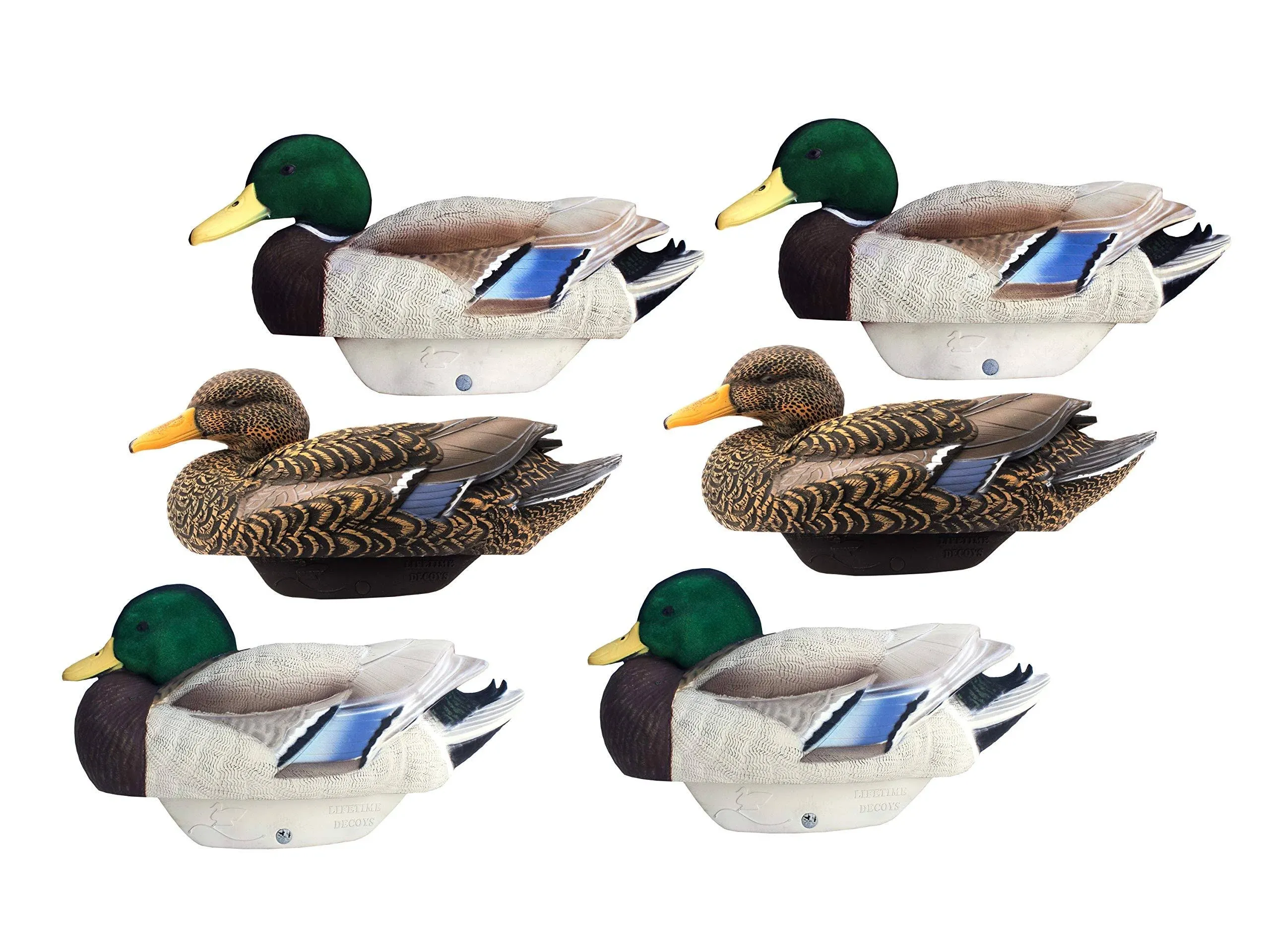 HydroFoam Flocked Head Mallards 6-Pack Duck Decoys by Heyday